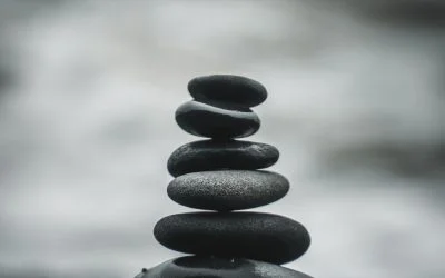 Guide to the Endocannabinoid System